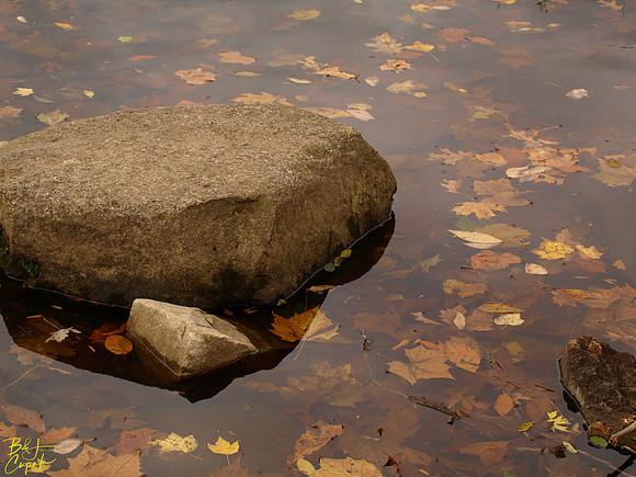 Ohiopyle State Park, PA (4)