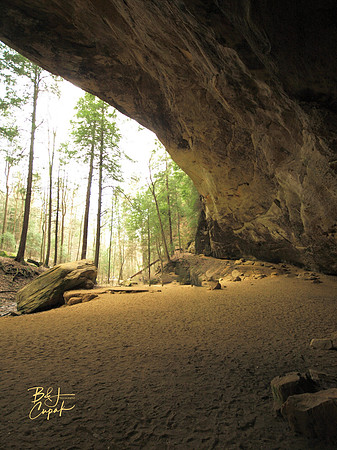 H Hills, OH - Ash Cave  (14)