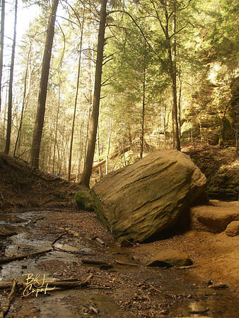H Hills, OH - Ash Cave  (4)