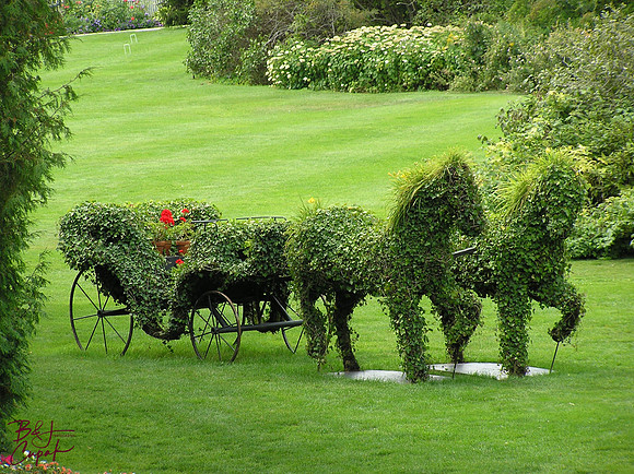 Mackinac Island, MI (3)