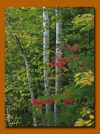 Munising, MI (4)