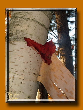 Munising, MI (17)