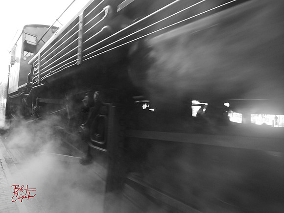 Western Maryland Scenic Railroad, MD (2)