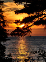 Bay View, MI (5)-1