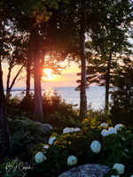 Bay View, MI (4)-1