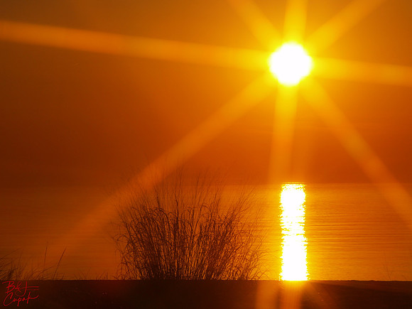 Erie, PA (10)