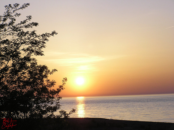 Erie, PA (14)