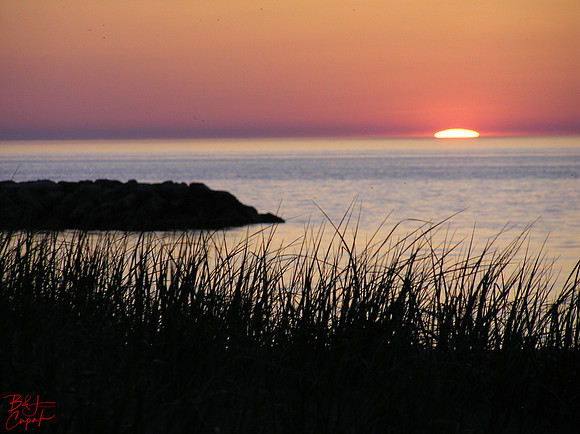 Erie, PA (19)