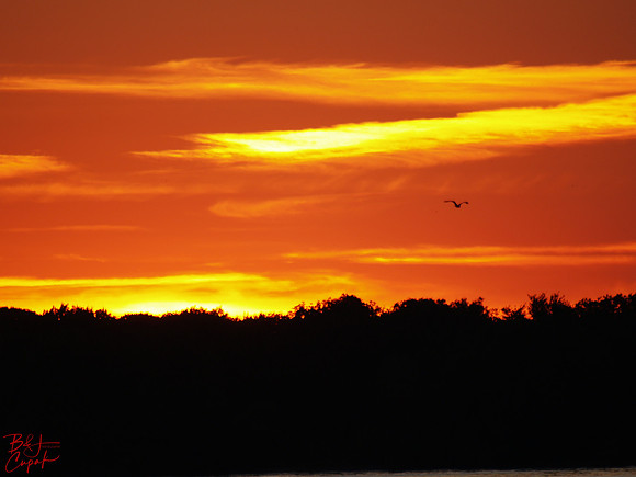 Erie, PA (33)