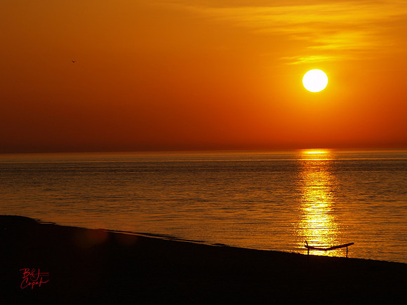 Erie, PA (45)