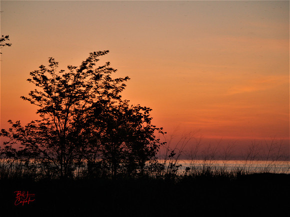 Erie, PA (49)