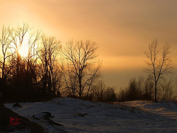 Erie, PA (54)