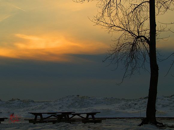 Erie, PA (56)