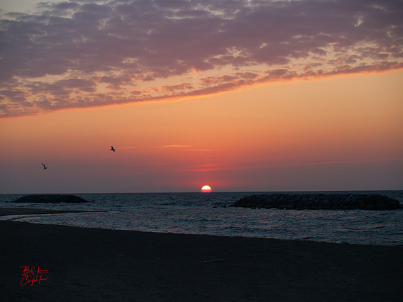 Erie, PA (61)