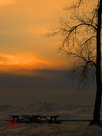 Erie, PA (65)