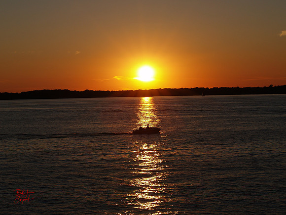 Erie, PA (83)