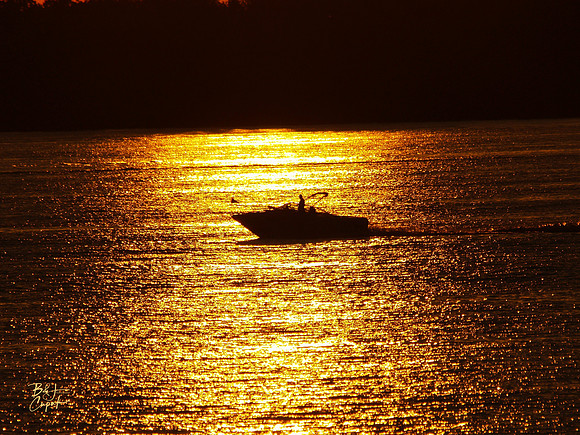 Erie, PA (85)