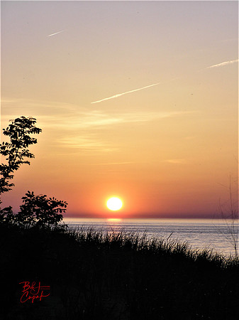 Erie, PA (93)