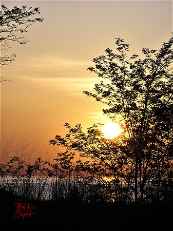 Erie, PA (91)