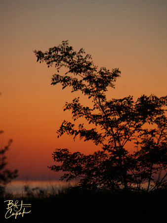 Munising, MI