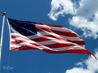 American Flag (21)