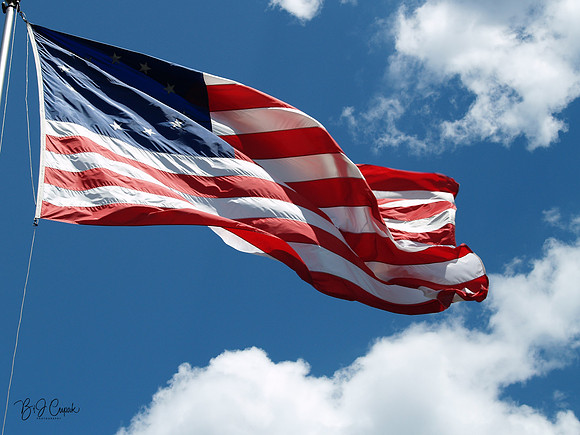 American Flag (20)