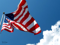 American Flag (17)