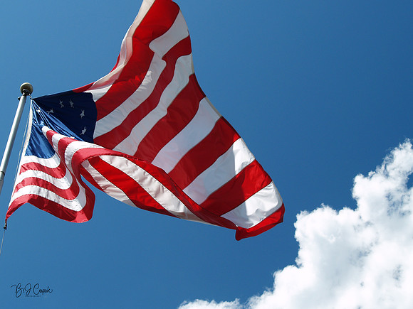 American Flag (17)