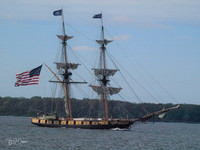 American Flag (5)