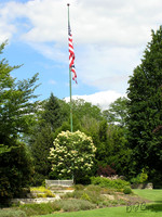 American Flag (2)