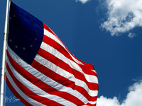 American Flag (18)