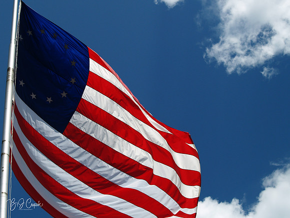American Flag (18)