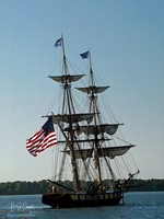 American Flag (12)