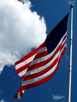 American Flag (15)
