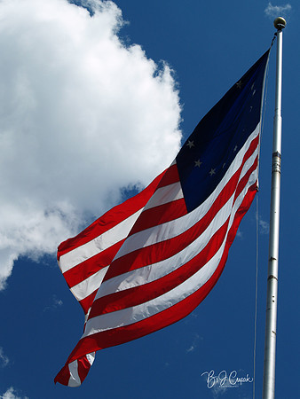 American Flag (15)