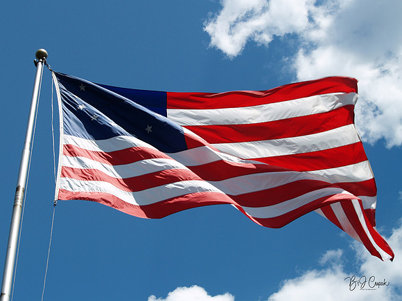 American Flag (19)