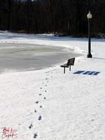 Groce City Park, PA