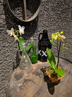 Cleveland Orchids 2026 (5)