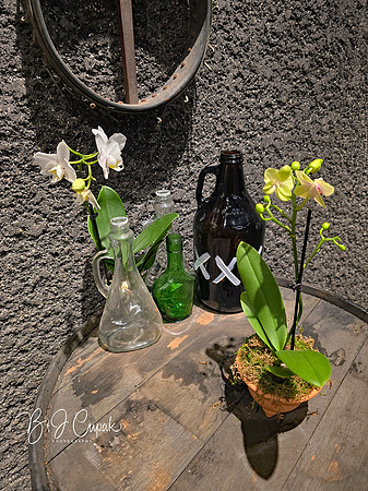 Cleveland Orchids 2026 (5)