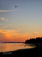 Bay View (3)