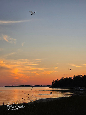Bay View (3)