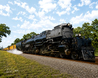 Big Boy 4014 (2)