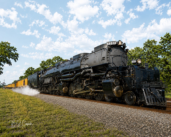 Big Boy 4014 (2)