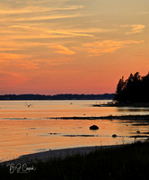 Bay View (1)