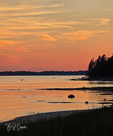 Bay View (1)