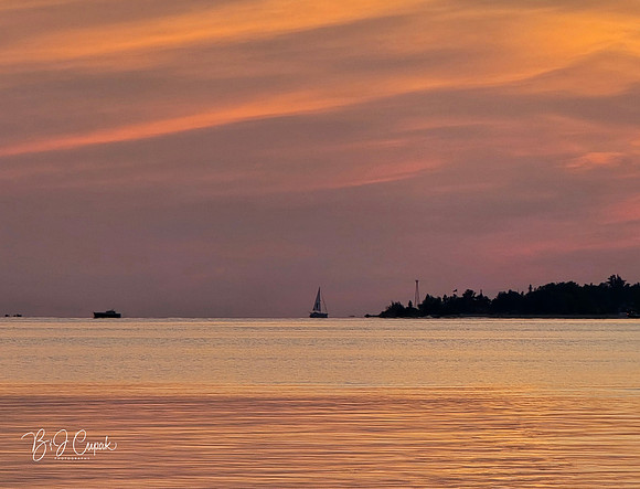 Bay View (6)