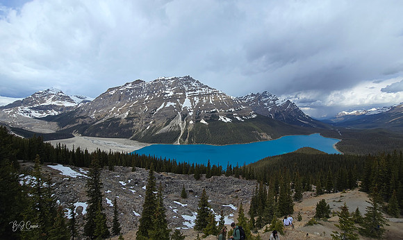 Jasper (3)-1