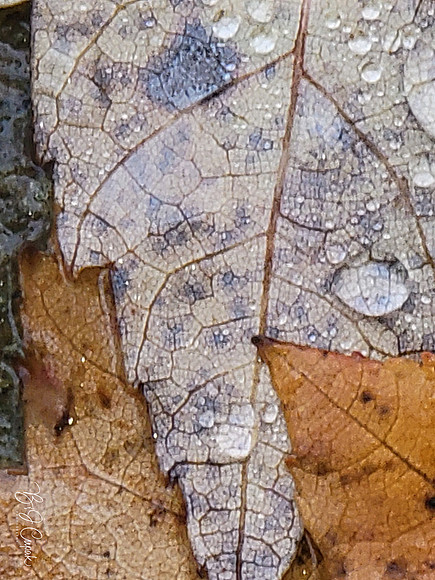 20231028_123044-1