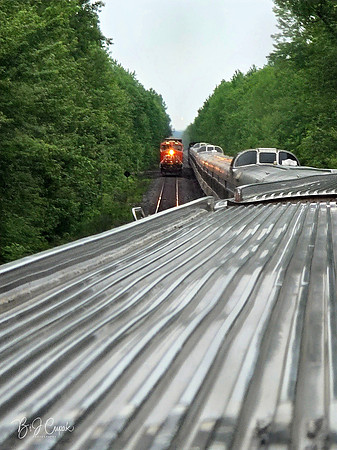 VIA Rail (8)-1