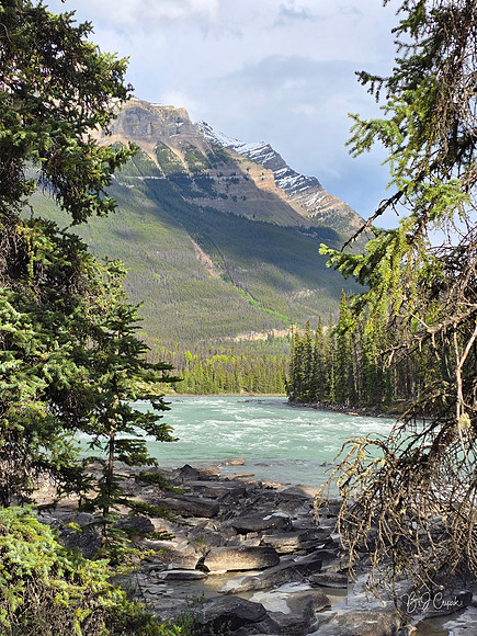 Jasper (12)-1